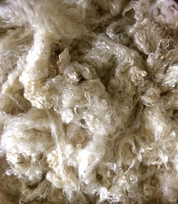 laine mohair chevre brut mohairincantal